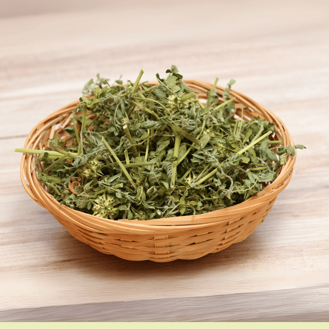 Gokhru (Tribulus terrestris)