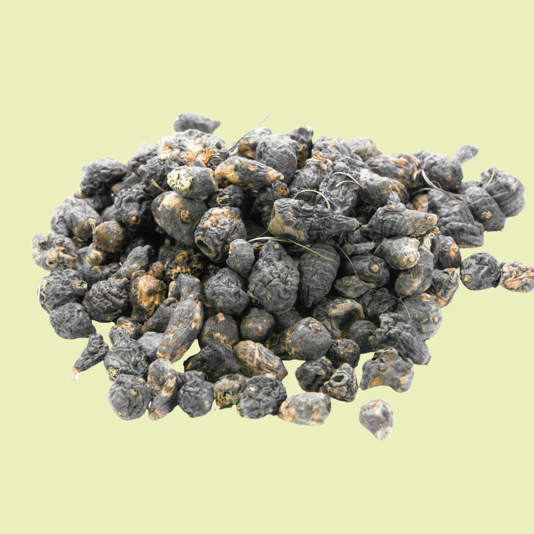 Nagarmotha (Cyperus rotundus)